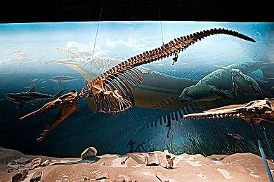 《地平线：零之曙光》PC版新补丁制作由Nixxes负责