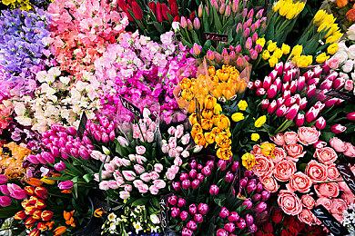 西部背景俯视角冒险游戏《灰尘与勇气》现已在Steam平台推出试玩Demo