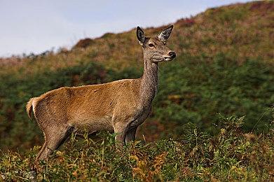 《无限机兵》新实机演示 宣布延期至2025年3月27日发售